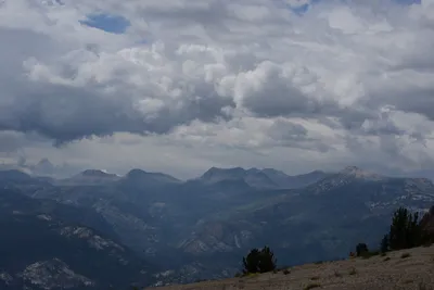 DSC_3095 (Large).JPG